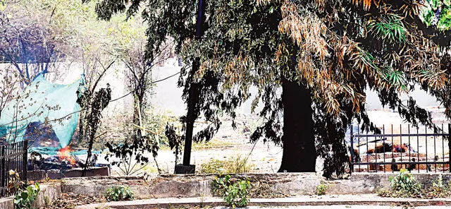 ସତ୍ୟନଗର ମଶାଣିରେ ଜଳିଲା ଆଉ ୧୧ ଆକ୍ରାନ୍ତଙ୍କ ଜୁଇ!