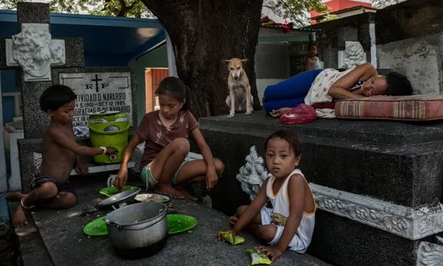 କବରସ୍ତାନରେ ଜୀବନ