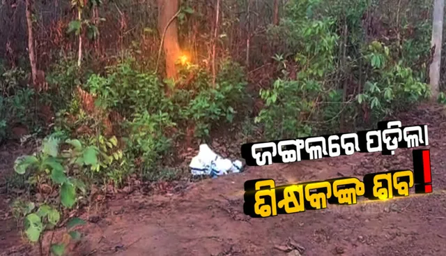 କାମାକ୍ଷାନଗର: ଘରୁ ନେଲେ, କରୋନାରେ ମୃତ ଶିକ୍ଷକଙ୍କ ଶବକୁ ସତ୍କାର ବଦଳରେ ଜଙ୍ଗଲରେ ଫିଙ୍ଗିଲେ