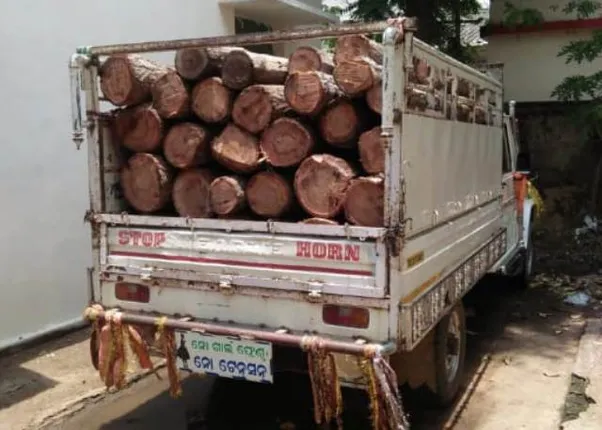 ଚୋରା ଶାଳ କାଠ ସହ ଗାଡ଼ି ଜବତ, ଜଣେ ଗିରଫ