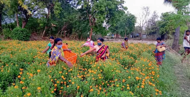 କରୋନା କାଳରେ ଭଲ ଖବର: ମାଛ ଓ ଫୁଲ ଉତ୍ପାଦନ କରି ସ୍ୱାବଲମ୍ବୀ ହେବାର ପ୍ରୟାସ