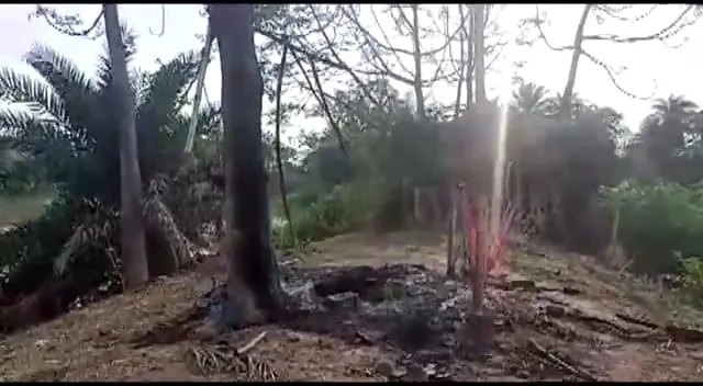 ବଜ୍ରାଘାତରେ ଟଳିପଡ଼ିଲେ ଯୁବକ