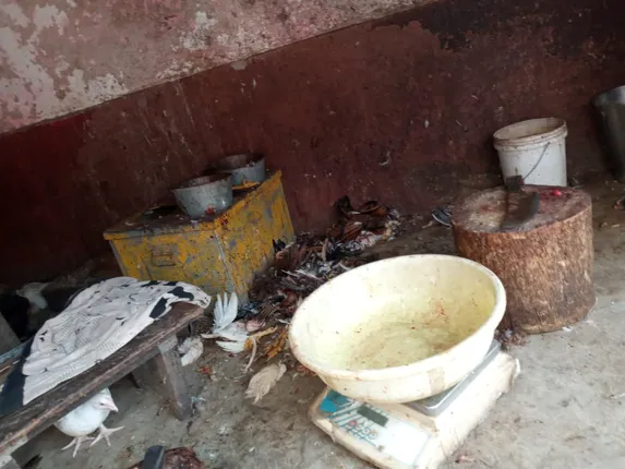 ମାଛ, ମାଂସ ଦୋକାନ ଓ ଢ଼ାବା ସିଲ୍ 