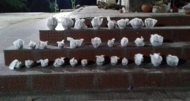 କରୋନା କାଳରେ ଆପଣା କଲେ ପର, ୫୬ ଜଣଙ୍କ ଅସ୍ଥି ବିସର୍ଜନ କରିବେ ଶ୍ମଶାନବନ୍ଧୁ