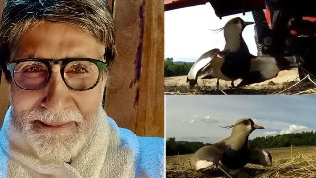 ନିଆରା ଢଙ୍ଗରେ ମାତୃଦିବସର ଶୁଭେଚ୍ଛା ଜଣାଇଲେ ବିଗ୍ ବି’