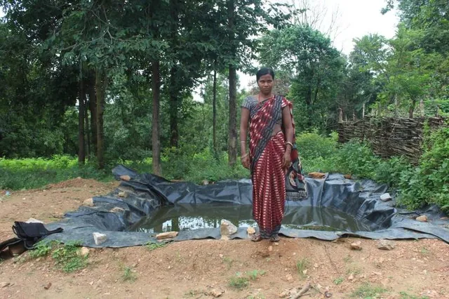 ଜୈବିକ ଚାଷ ଦେଖାଇଲା ବାଟ; ଦାଦନରୁ ମୁହଁ ଫେରାଇଲେ ଆଦିବାସୀ ମହିଳା କମଳା