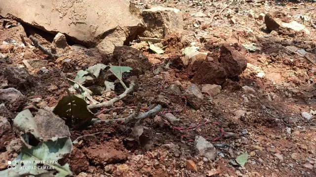 ନକ୍ସଲ ଦ୍ବାରା ଲ୍ୟାଣ୍ଡମାଇନ ବିସ୍ଫୋରଣ