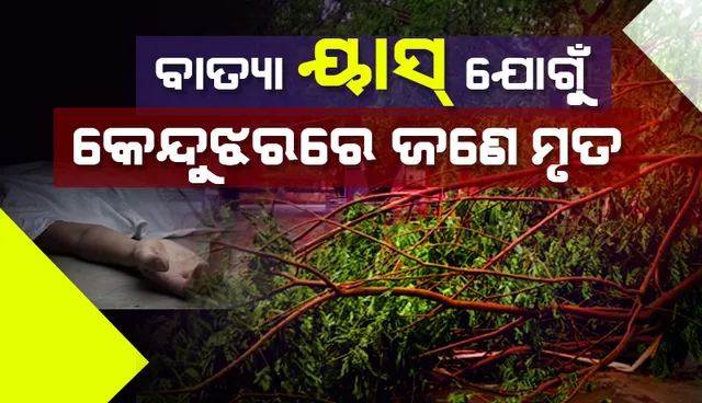 କେନ୍ଦୁଝର: ବାତ୍ୟାରୁ ବର୍ତ୍ତିଲା, ବର୍ଷାରେ ଭିଜିଲା, ଗଛ ପଡ଼ି ଜଣେ ମୃତ