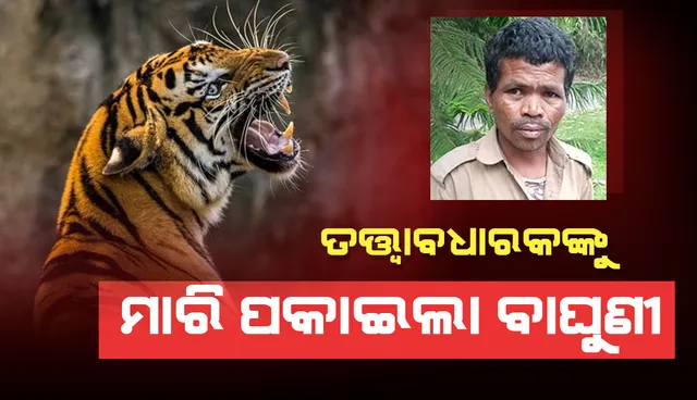 ଅରୁଣାଚଳ ପ୍ରଦେଶରେ ଚିଡ଼ିଆଖାନା ତତ୍ତ୍ବାବଧାରକଙ୍କୁ କ୍ଷତବିକ୍ଷତ କରି ମାରି ପକାଇଲା ମହାବଳ ବାଘୁଣୀ