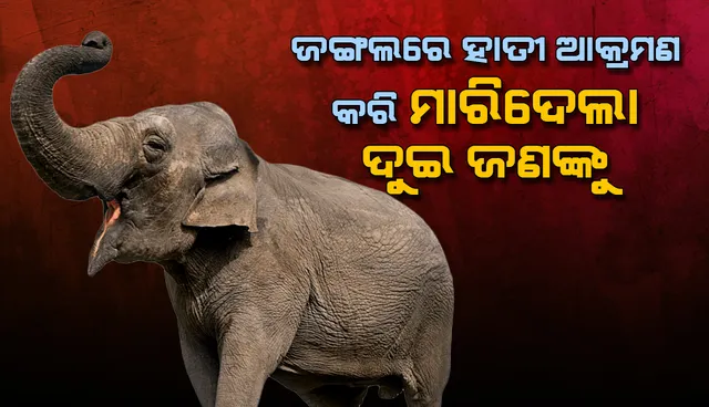 ଜଙ୍ଗଲକୁ ଜାଳେଣି କାଠ ସଂଗ୍ରହ ପାଇଁ ଯାଇଥିଲେ, ଆକ୍ରମଣ କଲା ହାତୀ : ୨ ମୃତ