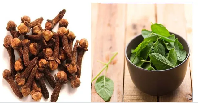 ଏହିସବୁ ଘରୋଇ ଉପଚାର ଦ୍ବାରା ଆପଣଙ୍କ ଫୁସଫୁସ ସୁସ୍ଥ ରହିବା ସହିତ କରୋନା ସଂକ୍ରମଣର ଆଶଙ୍କା କମ ରହିଥାଏ