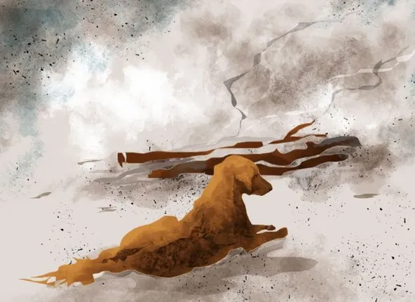 କରୋନାରେ ମୃତ ମାଲିକ ଜୁଇକୁ ଅନାଇ ସପ୍ତାହେ କାଳ ବସିରହିଲା ପୋଷା କୁକୁର