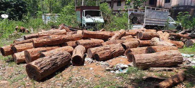 ପ୍ଲାଷ୍ଟିକ୍‌ ଆବର୍ଜନା ବସ୍ତା ତଳେ ଚୋରା କେନ୍ଦୁକାଠ ଚାଲାଣ