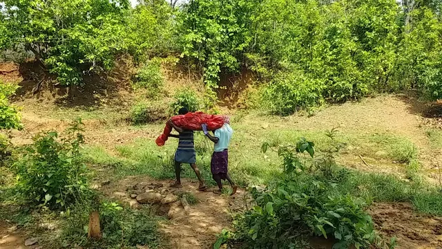 ଗୁଣିଗାରେଡ଼ି ସନ୍ଦେହରେ ବୃଦ୍ଧାଙ୍କୁ ହତ୍ୟା, ୧୭ ଦିନ ପରେ ମାଟି ତଳୁ ଶବ ଉଦ୍ଧାର, ଅଭିଯୁକ୍ତ ଥାନାରେ ଅଟକ