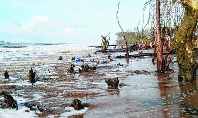 ଜୁଆର ପାଣି ରୋକିବାକୁ ହେବ ଦୀର୍ଘ ମିଆଦି ଯୋଜନା