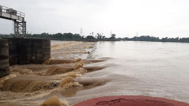 ଭଦ୍ରକରେ ବନ୍ୟା ପରିସ୍ଥିତି: ବିପଦ ସଙ୍କେତ ଉପରେ ବୈତରଣୀ, ପ୍ରଭାବିତ ହେବ ୪ ବ୍ଲକର ୮୦ ଗାଁ