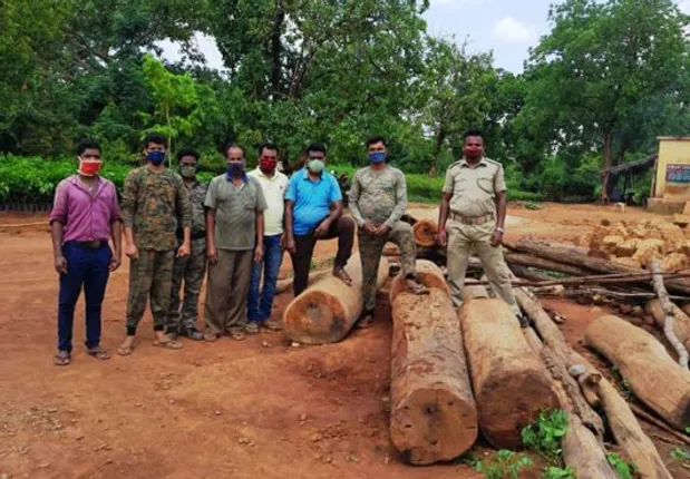 ବନ ବିଭାଗ ଚଢ଼ଉ, ଲକ୍ଷେ ଟଙ୍କାର କାଠ ଜବତ