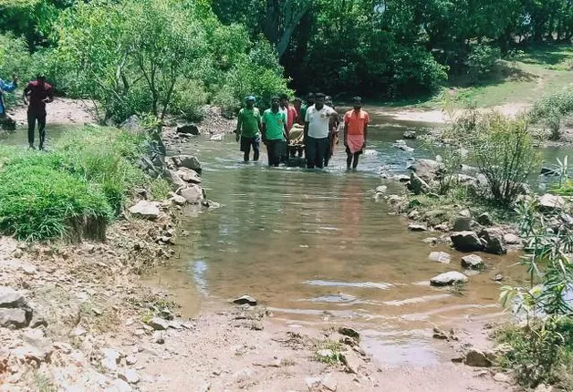 ୫ ଜଣଙ୍କୁ ବିଦାରିଦେଲା ଭାଲୁ, ଉଦ୍ଧାର ପାଇଁ ହିନସ୍ତା