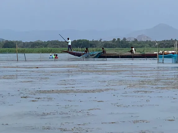 ଖୋର୍ଦ୍ଧା: ନୂଆ ଜିଲ୍ଲାପାଳଙ୍କ ଆଗରେ ପୁରୁଣା ଆହ୍ୱାନ, ବେଆଇନ ନିଶା କାରବାର, ପଥର ଖଣି ଓ ଚିଲିକାରେ ଚିଙ୍ଗୁଡ଼ି ଘେରି ନିୟନ୍ତ୍ରଣ