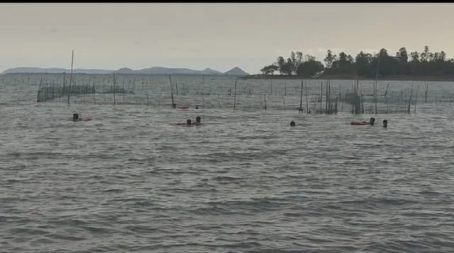 ଚିଲିକାରେ ବୁଡ଼ିଲା ଡଙ୍ଗା, ୨ ପର୍ଯ୍ୟଟକଙ୍କ ମୃତଦେହ ଉଦ୍ଧାର