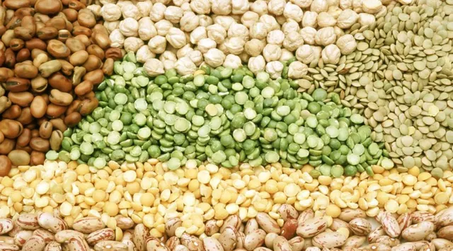 ୧୩ରୁ ଡାଲି ଓ ତୈଳବୀଜ ସଂଗ୍ରହ, ମୂଲ୍ୟ ସହାୟକ ଲାଭ ଚାଷୀମାନଙ୍କୁ ପାଖରେ ପହଞ୍ଚାଇବାକୁ ମନ୍ତ୍ରୀଙ୍କ ନିର୍ଦ୍ଦେଶ