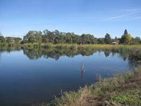 ଏମିତି ବି ଆସେ ମୃତ୍ୟୁ: ପୋଖରୀକୁ ଗାଧେଇବାକୁ ଯାଇ ମା’ ଓ ଝିଅ ମୃତ