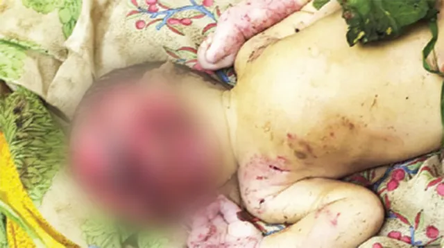 ନେଉଳ ମୁହଁରୁ ଉଦ୍ଧାର ହେଲା ନବଜାତକ