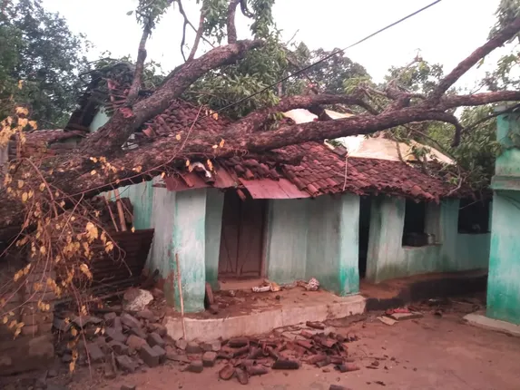 ଘର ଉପରେ ପଡ଼ିଲା ଗଛ, ଅଳ୍ପକେ ବର୍ତ୍ତିଲେ ପରିବାର