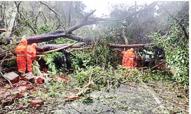 ୩ ରାଜ୍ୟରେ ‘ତୌକ୍‌ତେ’ର ତାଣ୍ଡବ, ୬ ମୃତ