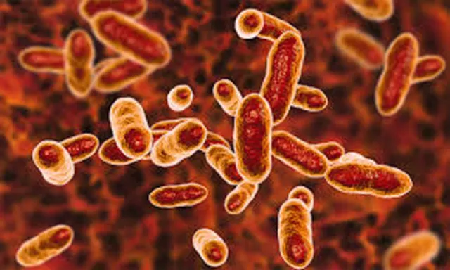 ଖୋଲା ଝରକା: ପାଟିର ବ୍ୟାକ୍ଟେରିଆ ନଷ୍ଟ କରିପାରେ ସହଜ ଉପାୟ