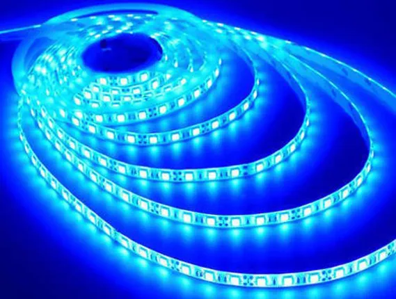 ନୂଆ ସମୟ ନୂଆ କଥା: ଖାଦ୍ୟ ସଂରକ୍ଷଣର ନୂଆ ଉପାୟ ଏବଂ ୬.୫ ଫୁଟ୍‌ ଲମ୍ବା ଡାଇନୋସର୍‌ ଜଙ୍ଘ ହାଡ଼