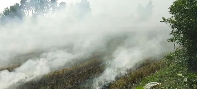 ଧୂଆଁରେ ଲୋକେ ଅଣନିଶ୍ବାସୀ