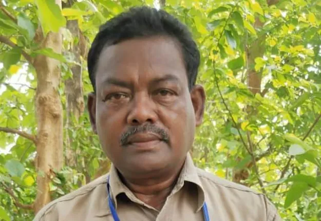 ସେନା ଅଧିକାରୀରୁ ସଫଳ ଆମ୍ବ ଚାଷୀ