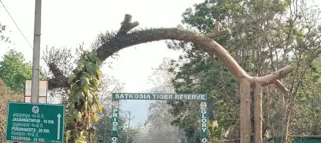 କରୋନା ଭୟ, ପର୍ଯ୍ୟଟକଙ୍କୁ ସାତକୋଶିଆ ମନା