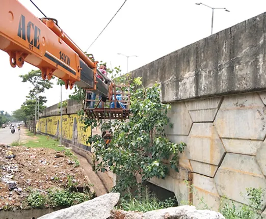 ବରମୁଣ୍ଡା ଫ୍ଲାଏଓଭର୍‌ରୁ କଟିଲା ଗଛ