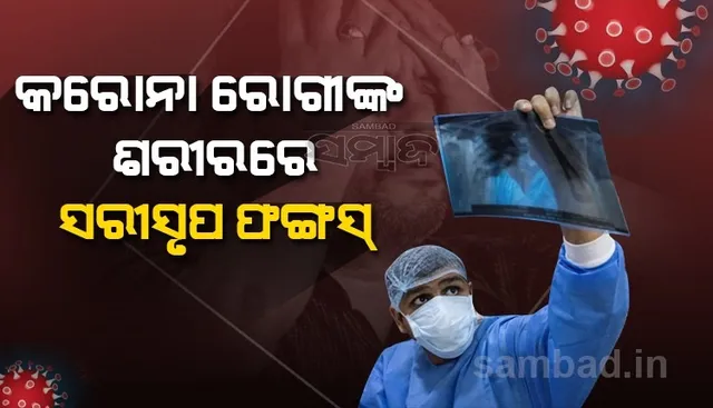 ସରୀସୃପଙ୍କ ଦେହରେ ଦେଖାଦେଉଥିବା ୟେଲୋ ଫଙ୍ଗସ ଦ୍ୱାରା ଆକ୍ରାନ୍ତ ହେଲେ କରୋନାରୁ ସୁସ୍ଥ ହୋଇସାରିଥିବ ବ୍ୟକ୍ତି