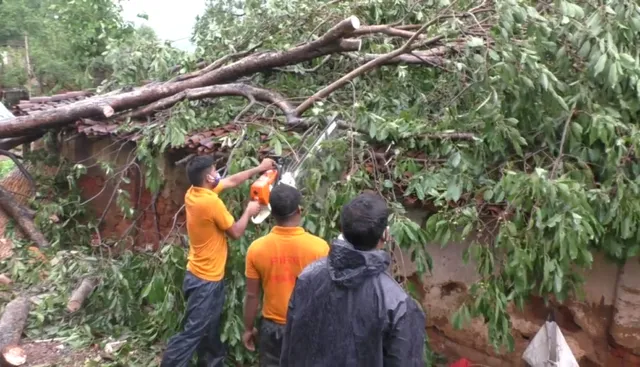 ବାତ୍ୟା ୟାସ୍ ପ୍ରଭାବ: ଏଯାଏ ଥମିନି ଦେବଗଡ ଜିଲ୍ଲାରେ ବର୍ଷା ଓ ପବନ, ଚାଲିଛି ଗଛକଟା କାମ