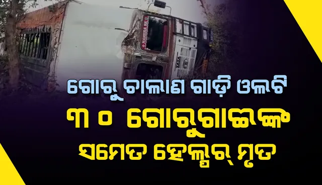 ଗୋରୁ ଚାଲାଣ ଗାଡ଼ି ଓଲଟି ୩୦ ଗୋରୁଗାଈଙ୍କ ସମେତ ହେଲ୍ପର ମୃତ