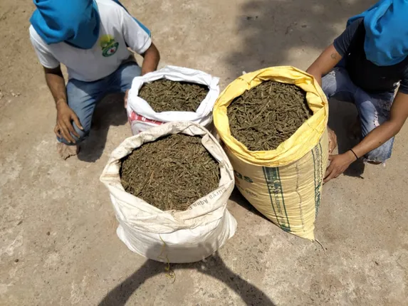 ସୋନପୁରରୁ ୪୫ କେଜି ଗଞ୍ଜେଇ ଜବତ, ୨ ଗିରଫ