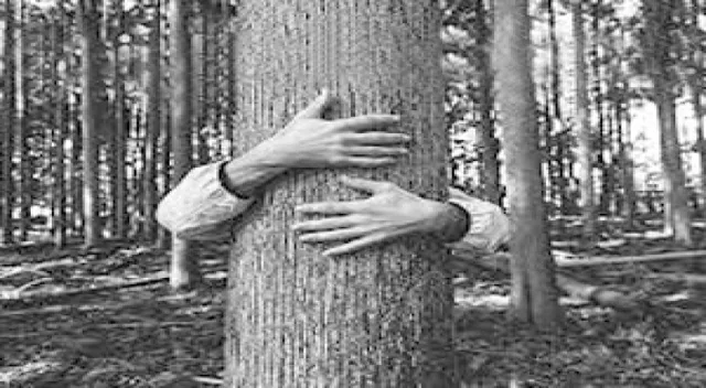 ଗଡ଼ଵାଲ୍‌ର ଶାଗୁଆ ଗାନ୍ଧୀ