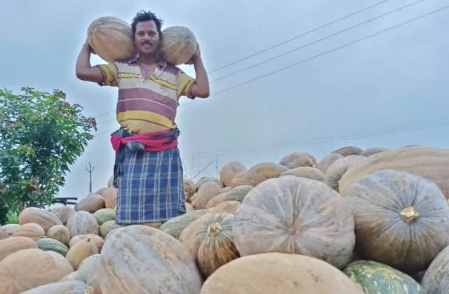 ରାସ୍ତା ପାର୍ଶ୍ବରେ କଖାରୁ ପାହାଡ଼, ଚାଷୀ ଅଭାବୀ ବିକ୍ରିର ଶିକାର