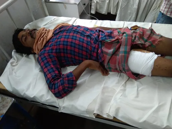 ଭାଲୁ ଆକ୍ରମଣରେ ଯୁବକ ଆହତ