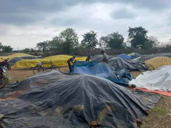 ଟୋକନ ଲେପ୍ସ, ଧାନର ଅଭାବୀ ବିକ୍ରି