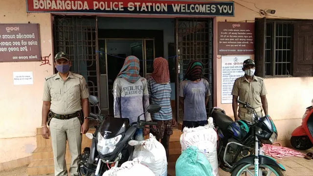 ୧୧୮ କିଲୋ ଗଂଜେଇ ଜବତ, ୨ ବାଇକ୍ ସହ ୩ ଗିରଫ