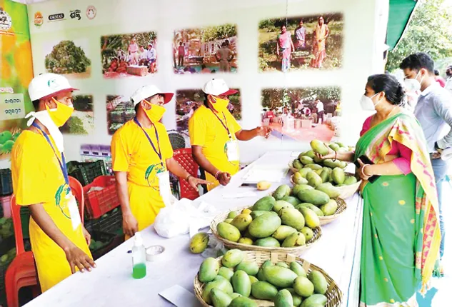 ରାଜଧାନୀରେ ‘ଗାଁ ଆମ୍ବ ପସରା’