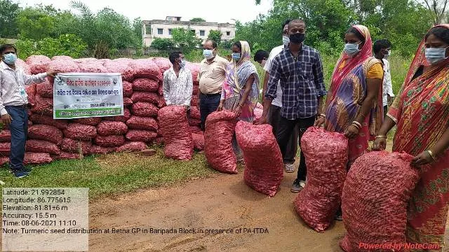 ମିଶନ ଜୀବିକା ଯୋଜନାରେ ଉନ୍ନତ କିସମର ହଳଦୀ ବିହନ ବଣ୍ଟନ