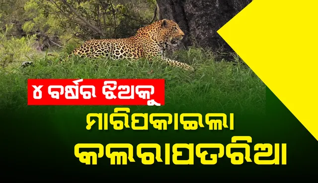 ଜମ୍ମୁ ଓ କଶ୍ମୀର: ୪ ବର୍ଷର ଝିଅକୁ ବଣକୁ ନେଇ ମାରିପକାଇଲା କଲରାପତରିଆ