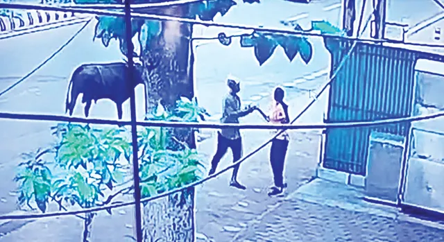 ରାଜଧାନୀରେ ଲୁଟେରାଙ୍କ ଆତଙ୍କ: ରାସ୍ତାରେ ମହିଳାଙ୍କ ଗଳା କାଟି‌ଦେଲା, ଗୁରୁତର ଅବସ୍ଥାରେ ହସ୍ପିଟାଲରେ ଭର୍ତ୍ତି