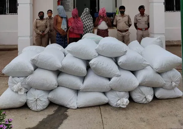 ଚାଲାଣ ପୂର୍ବରୁ ମାଡ଼ି ବସିଲା ପୁଲିସ୍, ୬୫୩ କେଜି ଗଞ୍ଜେଇ ଜବତ, ୪ ଗିରଫ