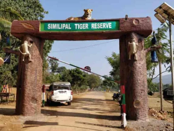 ବଦଳିଲେ ଶିମିଳିପାଳ ବ୍ୟାଘ୍ର ସଂରକ୍ଷଣ ପ୍ରକଳ୍ପ ବାରିପଦା ଉପନିର୍ଦେଶକ 